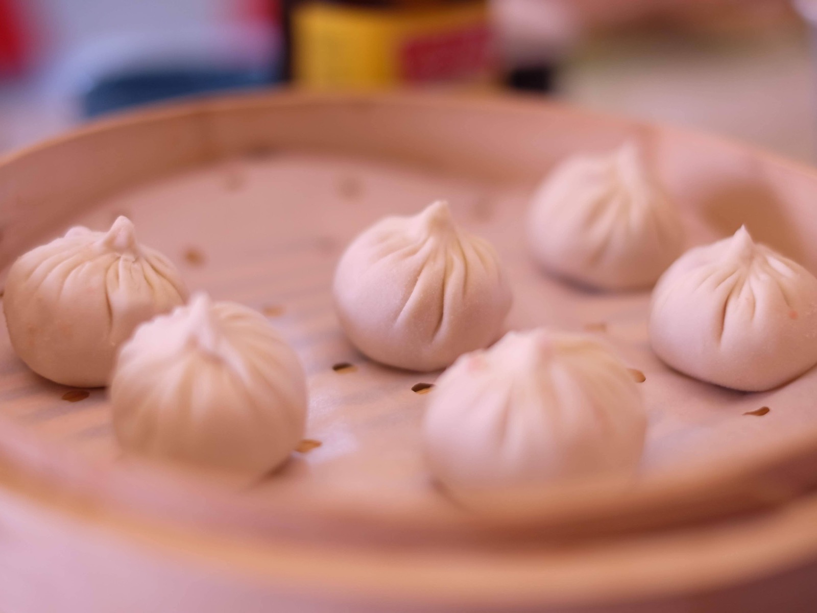 Shanghai Soup Dumpling Making Experience class photo 2